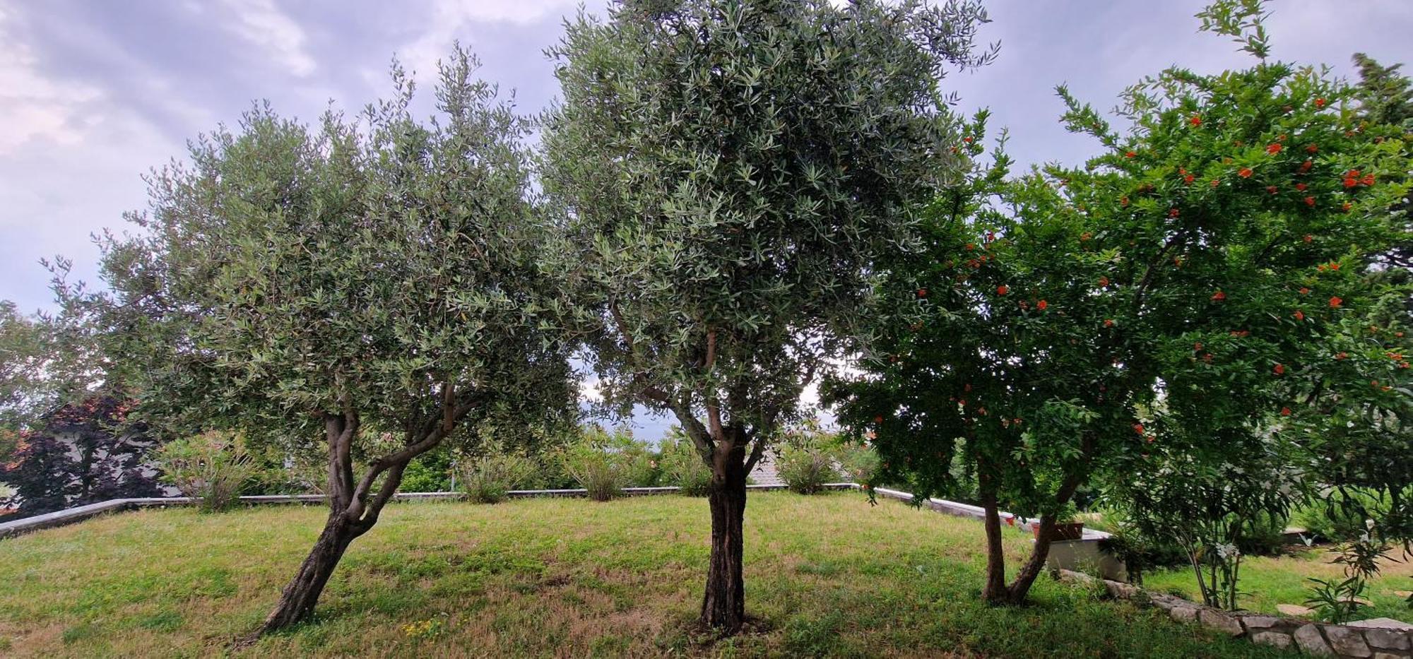 Apartmán Na-Vi Novi Vinodolski Exteriér fotografie